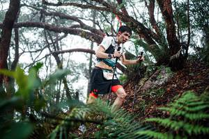 BIB: 
                            <button type="button" onclick="openModal(26295924)" class="btn btn-primary btn-sm float-right btn-popup" data-toggle="modal" data-target=".modal-high-quality">
                        <i class="fas fa-shopping-cart"></i> Add to Cart
                    </button>
                                            <button type="button" onclick="isThisMe(26295924, true)" class="btn btn-success btn-sm float-right btn-popup btn-isme hidden" data-toggle="tooltip" data-placement="bottom" title="นี่คือรูปของคุณใช่ไหม คลิกที่นี่เพื่อเอาเข้าอัลบั้ม">
                        <i class="fas fa-plus"></i> Add to album
                    </button>
                    <button type="button" onclick="isThisMe(26295924, false)" class="btn btn-warning btn-sm float-right btn-popup btn-isnotme hidden">
                        <i class="fas fa-ban"></i> Remove from album
                    </button>